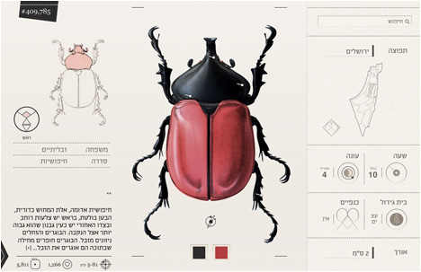 Student Break: Yael Cohen | What’s Your Fav Insect?