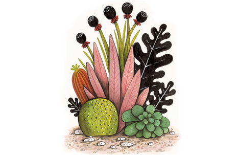 Geffen Refaeli | A Happy Cactus is an Illustrated Cactus