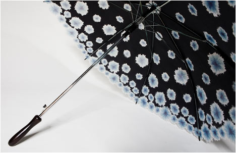  Seasons | The Winter Umbrella