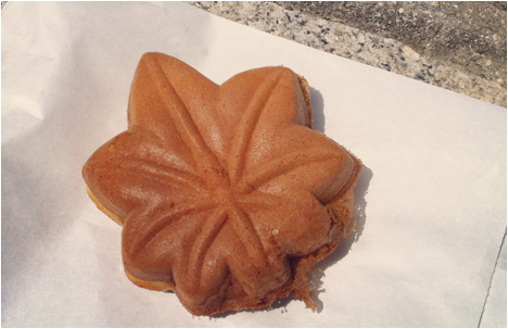 Maple Leaf Shaped Cookie